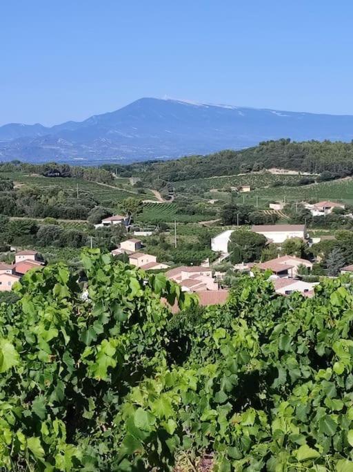 Maison De Village Chateauneuf-du-Pape Ngoại thất bức ảnh
